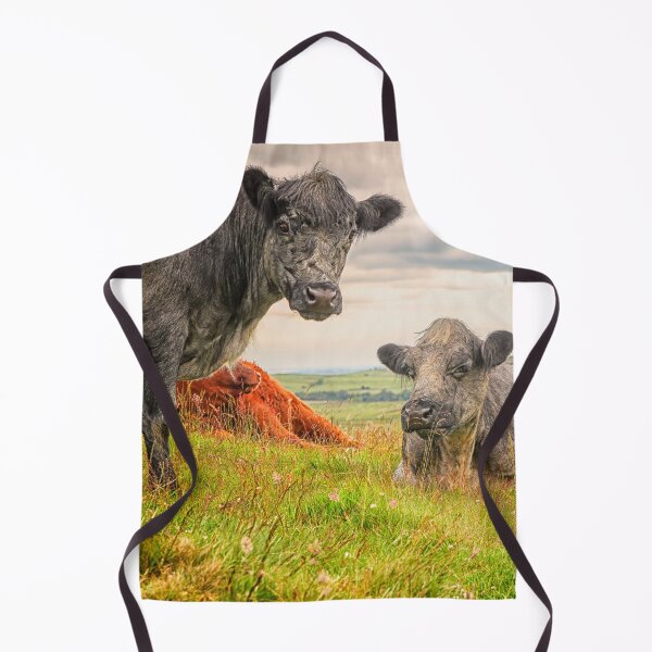 Item preview, Colorful Scottish Highlander cattle in Scotland designed and sold by Photopat.