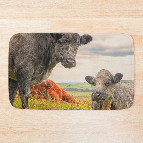 Item preview, Colorful Scottish Highlander cattle in Scotland designed and sold by Photopat.