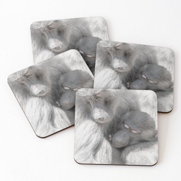 Item preview, Baboon Love designed and sold by Photography by Suzanne Slee.