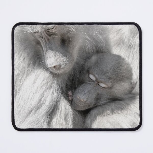 Item preview, Baboon Love designed and sold by Photography by Suzanne Slee.
