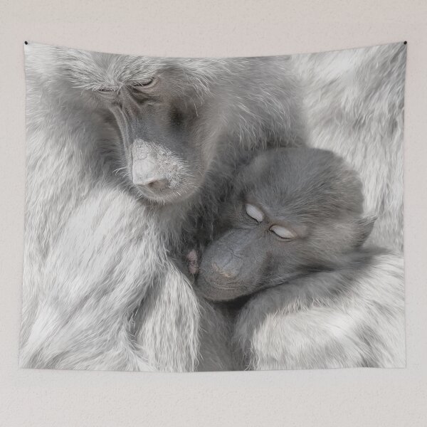 Item preview, Baboon Love designed and sold by Photography by Suzanne Slee.