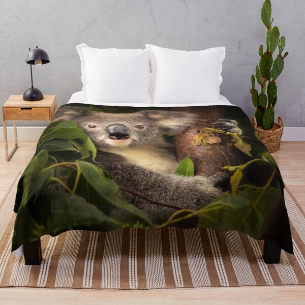 Item preview, Little Koala designed and sold by Photography by Suzanne Slee.