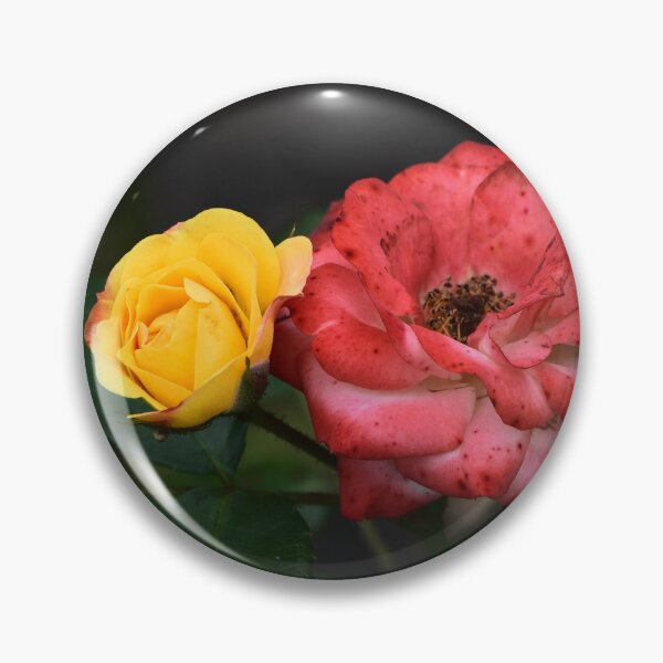 Item preview, Red and Yellow Rose - Vibrant Floral Photography – Nature’s Bloom in Full Color designed and sold by EmiBarDesign.