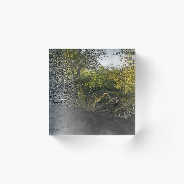 Velociraptor in the Woods Acrylic Block