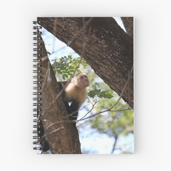 Item preview, White Faced Capuchin designed and sold by bitternbit.