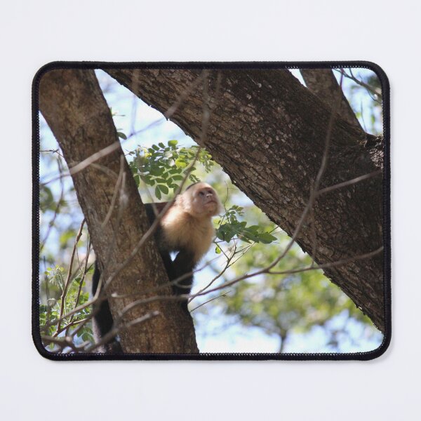 Item preview, White Faced Capuchin designed and sold by bitternbit.