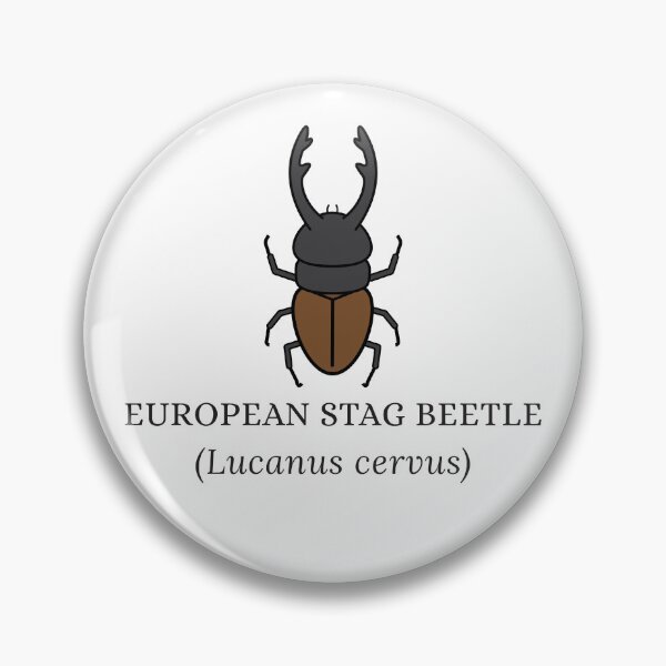 Item preview, European Stag Beetle designed and sold by Kindred & Thistle.