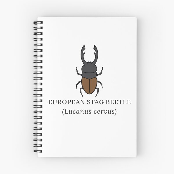 Item preview, European Stag Beetle designed and sold by Kindred & Thistle.