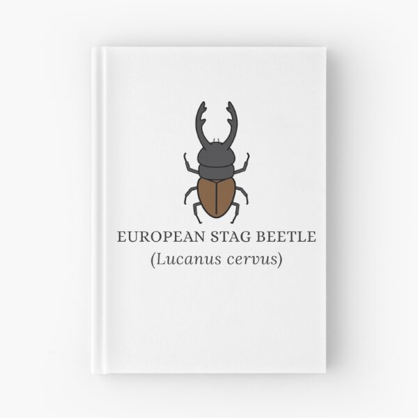 Item preview, European Stag Beetle designed and sold by Kindred & Thistle.