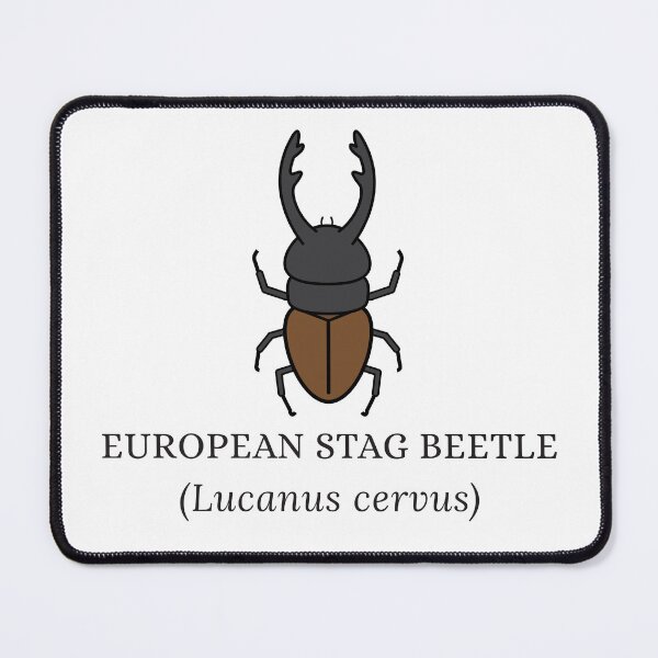 Item preview, European Stag Beetle designed and sold by Kindred & Thistle.