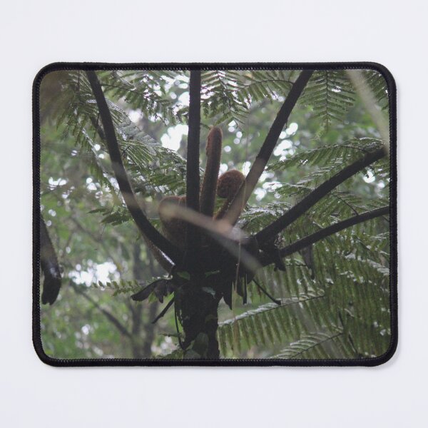 Item preview, Tree Fern  designed and sold by bitternbit.