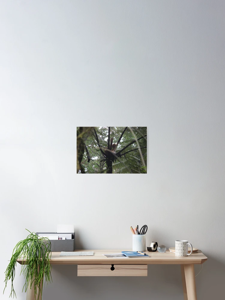 Thumbnail 2 of 3, Poster, Tree Fern designed and sold by bitternbit.