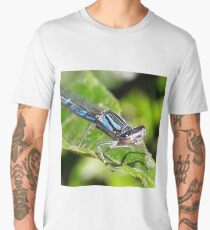 Cool blue true damselfly Men's Premium T-Shirt