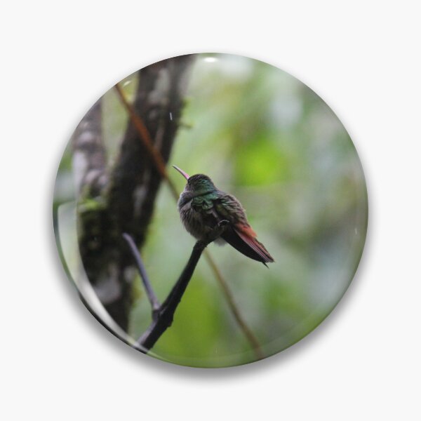 Item preview, Hummingbird in the Rain designed and sold by bitternbit.