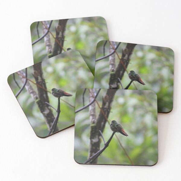 Item preview, Hummingbird in the Rain designed and sold by bitternbit.