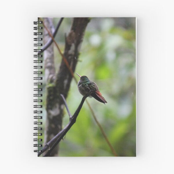 Artikelvorschau, Kolibri im Regen entworfen und verkauft von bitternbit.
