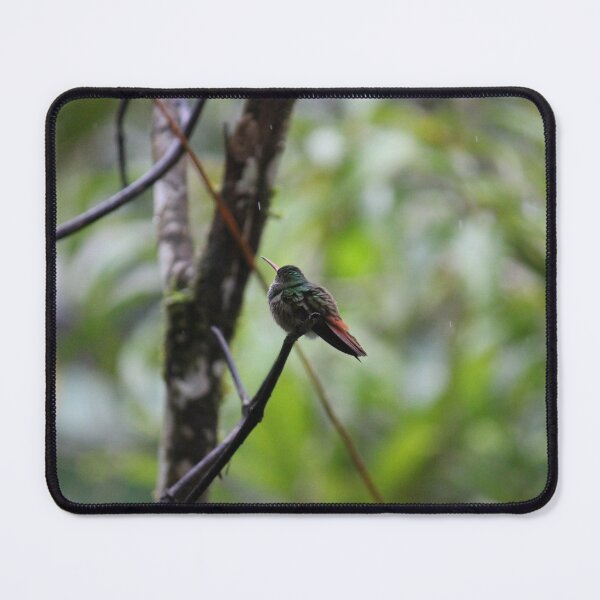 Item preview, Hummingbird in the Rain designed and sold by bitternbit.