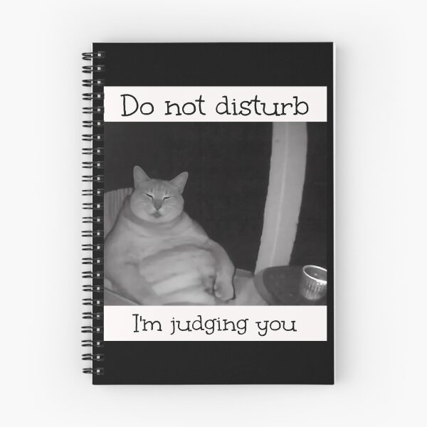 Item preview, Do Not Disturb I'm Judging You Brainrot Meme  designed and sold by Pawrizzma POD.