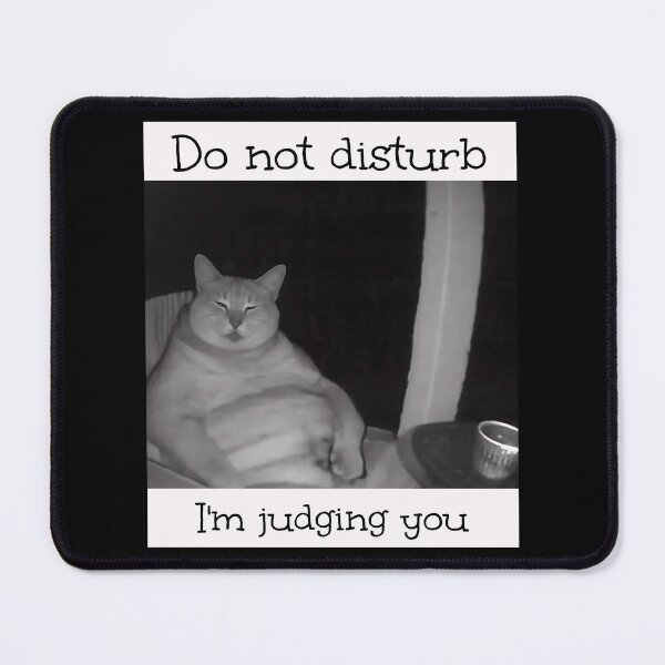Item preview, Do Not Disturb I'm Judging You Brainrot Meme  designed and sold by Pawrizzma POD.