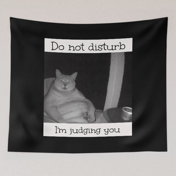 Item preview, Do Not Disturb I'm Judging You Brainrot Meme  designed and sold by Pawrizzma POD.