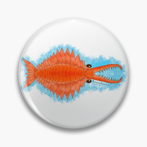 Item preview, The Amazing Anomalocaris designed and sold by Verdane Art.