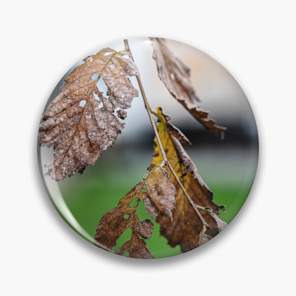 Item preview, Dried Leaves on a Branch designed and sold by Rabee Khalil Photography.