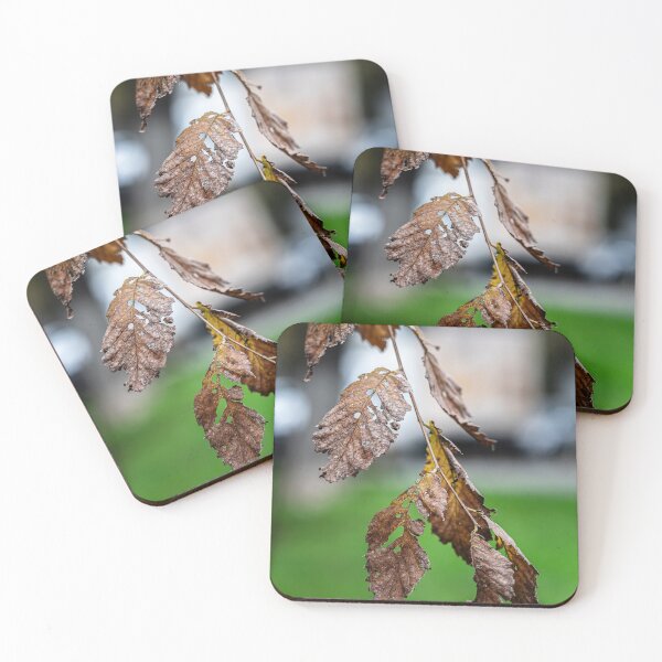 Item preview, Dried Leaves on a Branch designed and sold by Rabee Khalil Photography.
