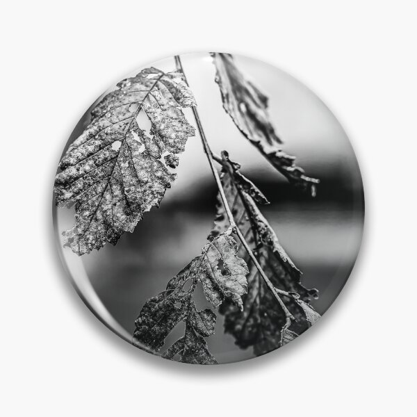 Item preview, Dried Leaves in Black and White designed and sold by Rabee Khalil Photography.