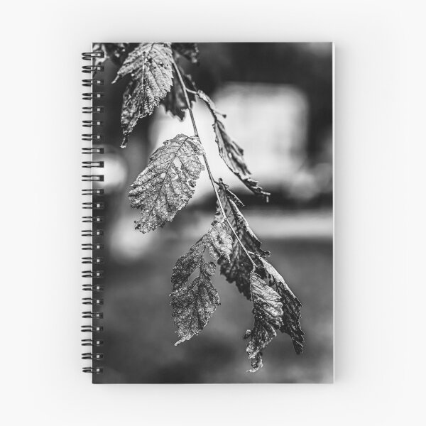 Item preview, Dried Leaves in Black and White designed and sold by Rabee Khalil Photography.