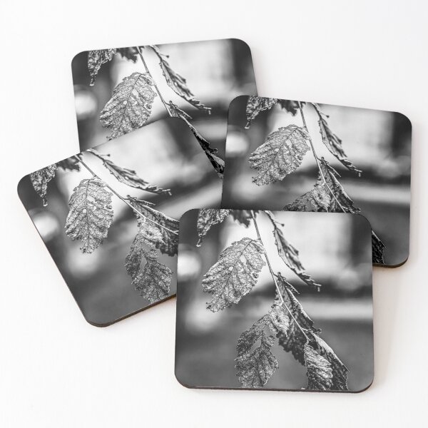 Item preview, Dried Leaves in Black and White designed and sold by Rabee Khalil Photography.