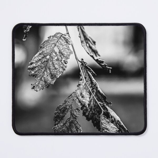 Item preview, Dried Leaves in Black and White designed and sold by Rabee Khalil Photography.