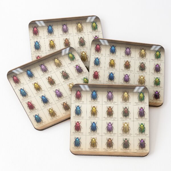 Item preview, Jewel Beetles - Vintage Entomology Specimen Box designed and sold by SavinMercantile.