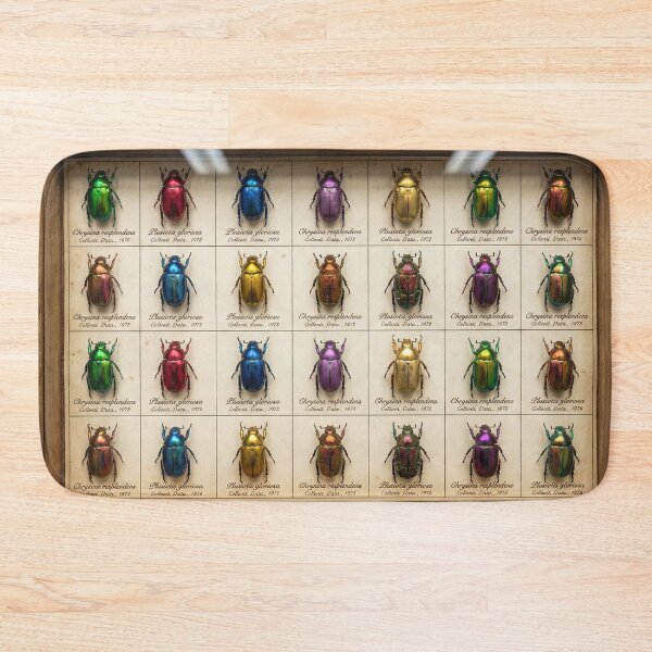 Item preview, Jewel Beetles - Vintage Entomology Specimen Box designed and sold by SavinMercantile.