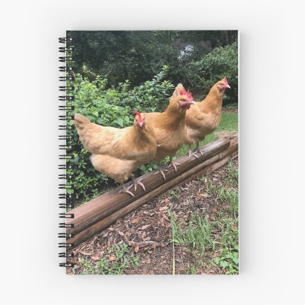 Item preview, Chickens designed and sold by Renee Jones.