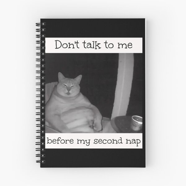 Item preview, Don't Talk To Me Brainrot Meme  designed and sold by Pawrizzma POD.