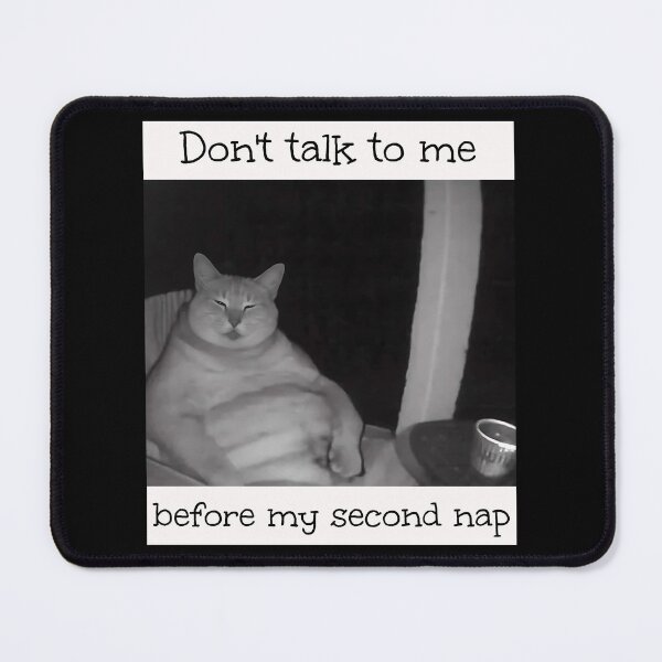Item preview, Don't Talk To Me Brainrot Meme  designed and sold by Pawrizzma POD.