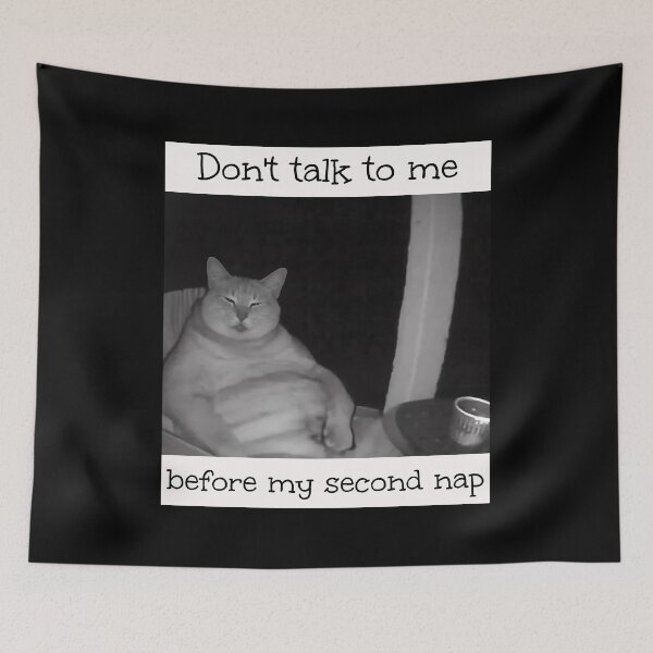 Item preview, Don't Talk To Me Brainrot Meme  designed and sold by Pawrizzma POD.