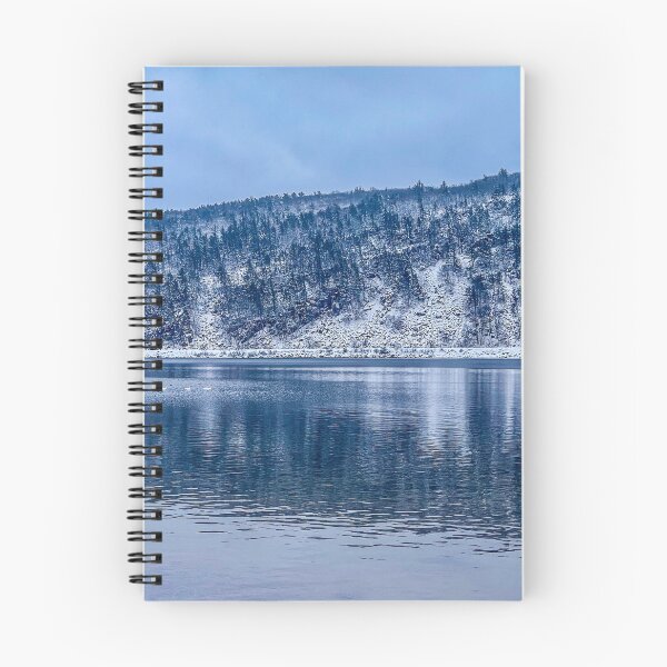 Item preview, Devils Lake Winter Swans – Wisconsin Nature Photography Print designed and sold by aadventures.