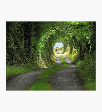 Green Tunnel Photographic Print