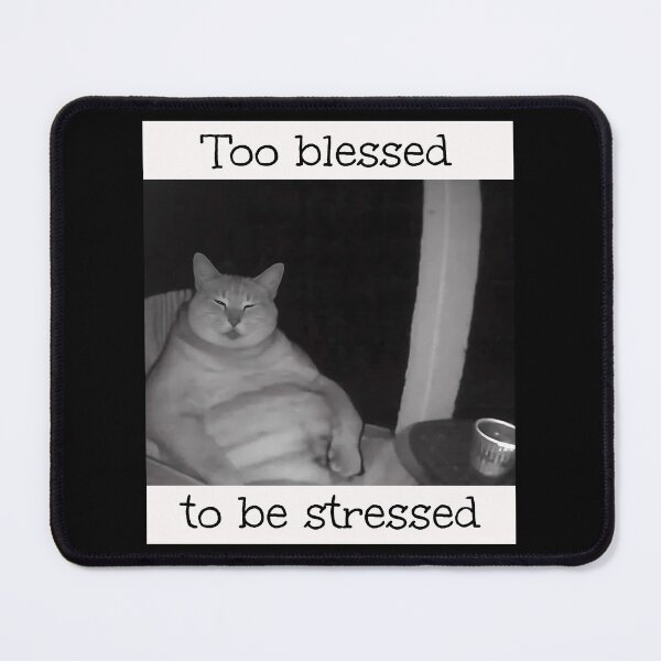 Item preview, Too Blessed To Be Stressed Brainrot Meme designed and sold by Pawrizzma POD.