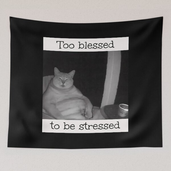 Item preview, Too Blessed To Be Stressed Brainrot Meme designed and sold by Pawrizzma POD.