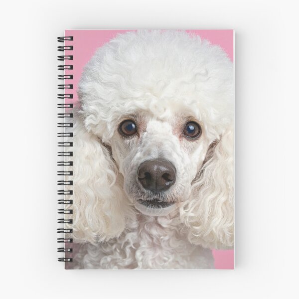 Item preview, Cute White Poodle Art – Pink Background Dog Portrait | Cute Pet Decor & Gifts designed and sold by SamahStudio.