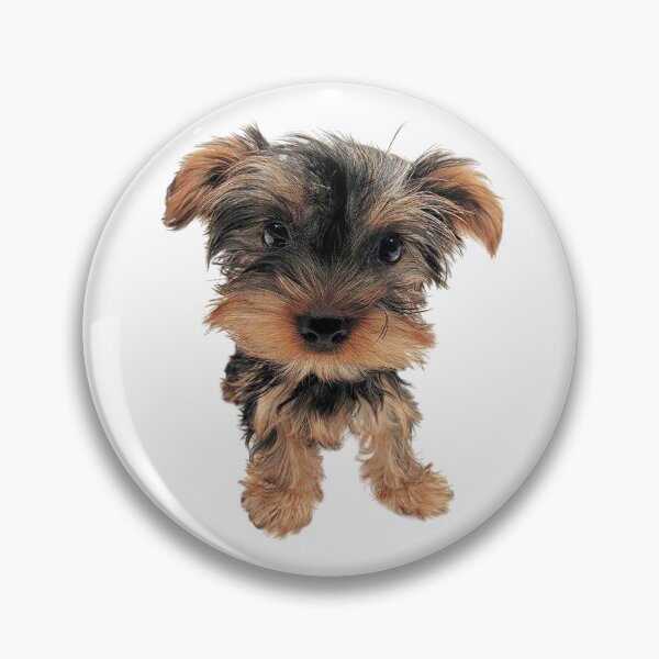 Item preview, yorkie dog cute designed and sold by tiffy r.