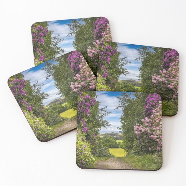 Item preview, From Sheringham Park to the Sea designed and sold by Viv Thompson Photography .