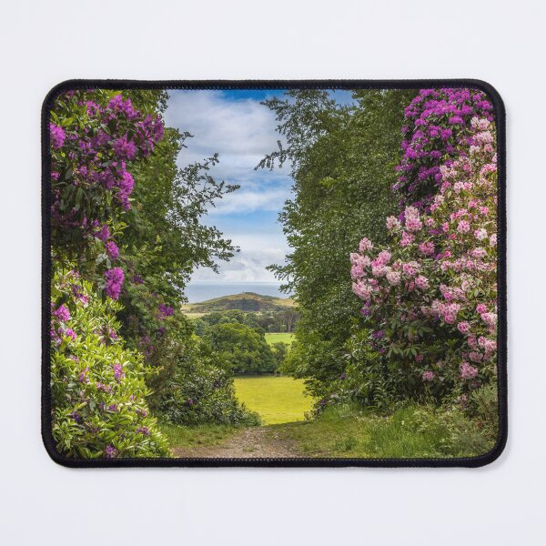 Item preview, From Sheringham Park to the Sea designed and sold by Viv Thompson Photography .