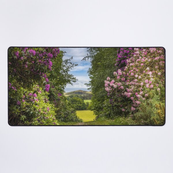 Item preview, From Sheringham Park to the Sea designed and sold by Viv Thompson Photography .