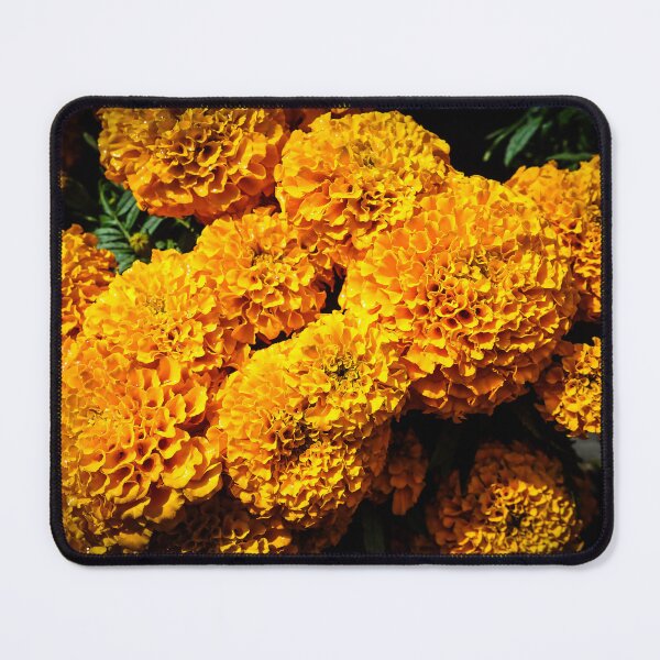 Item preview, Marigolds designed and sold by Douglas E. Welch Design and Photography.