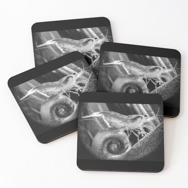 Item preview, Extraordinary 3D Macro Photo designed and sold by Cassandra Tiensivu.
