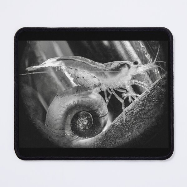 Item preview, Extraordinary 3D Macro Photo designed and sold by Cassandra Tiensivu.