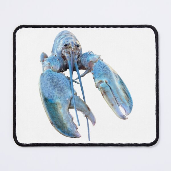 Item preview, Blue Lobster Meme designed and sold by klaro45.